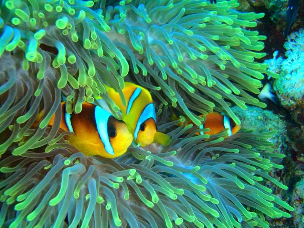 Agenzia Viaggi Catania