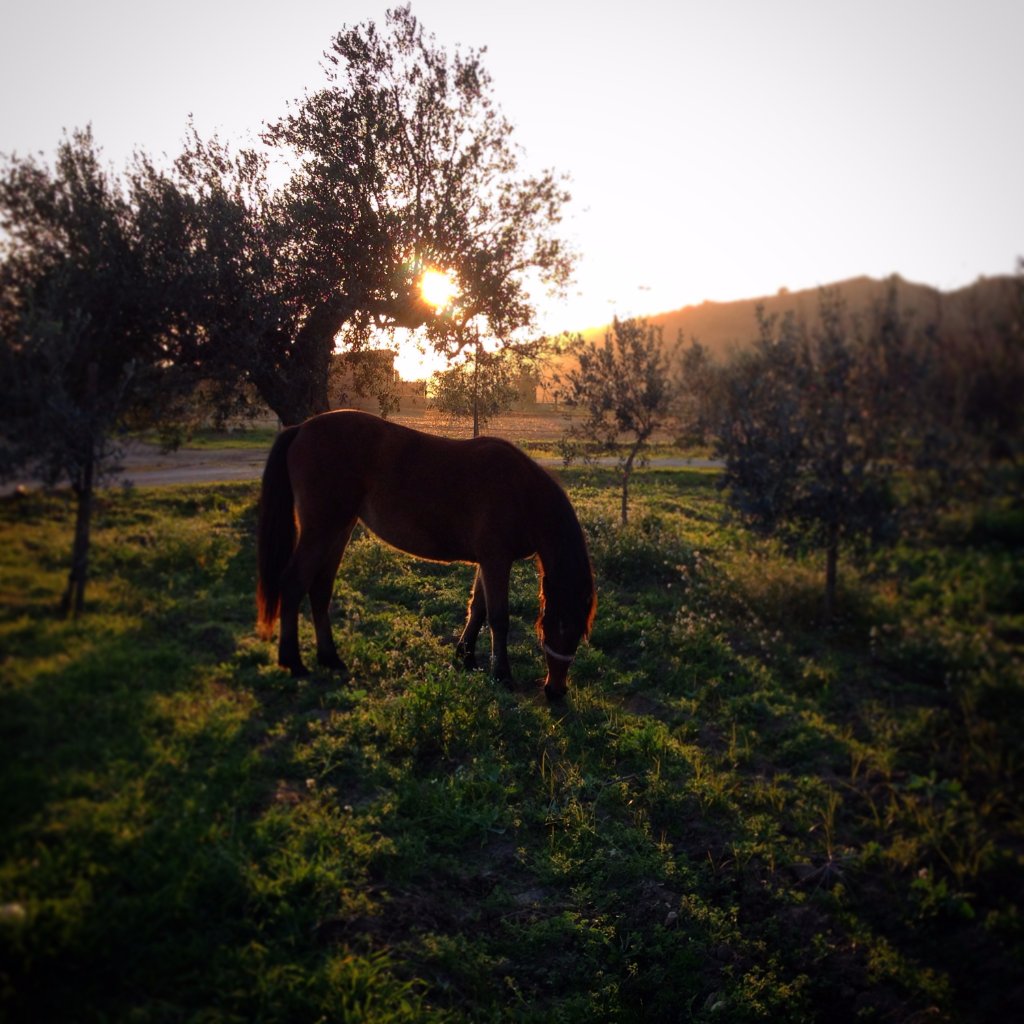 Agenzia Viaggi Catania