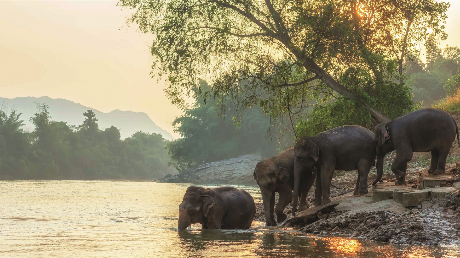 Agenzia Viaggi Catania