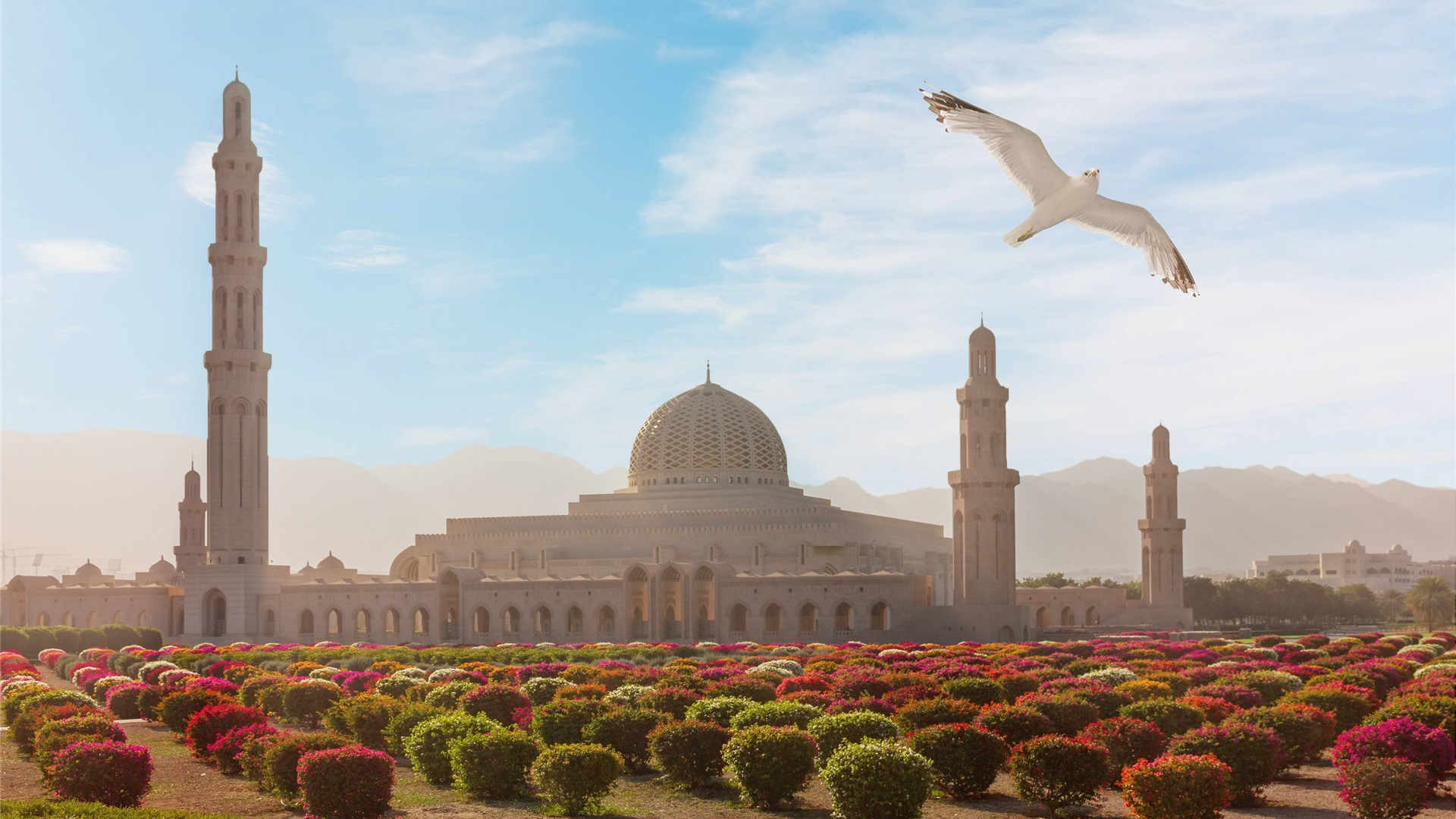 Agenzia Viaggi Catania