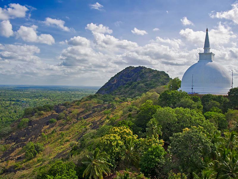OFFERTA MERAVIGLIE DELLO SRI LANKA