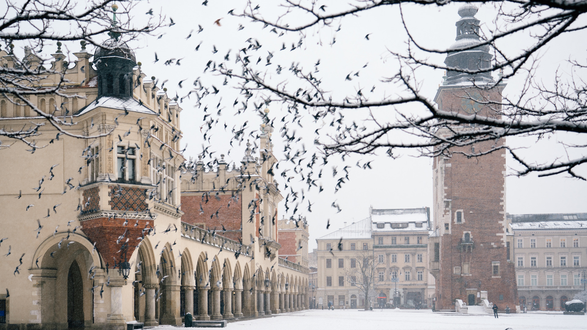 Agenzia Viaggi Catania